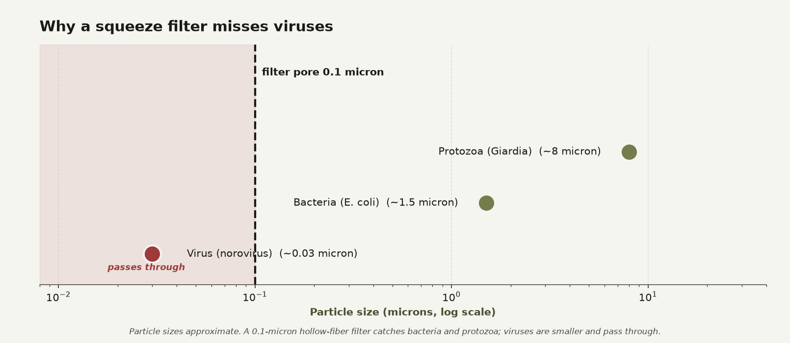 Scale chart comparing the size of protozoa, bacteria, and viruses against a 0.1 micron filter pore, showing viruses pass through.